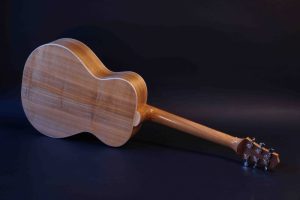 PA2508-scaled