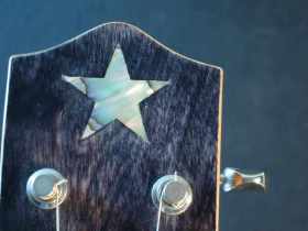 LPJAStar