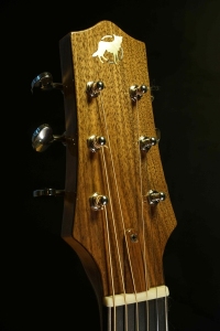 GA19009