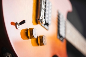 LPJsunburst LPJsunburst