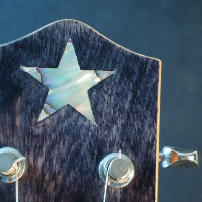 LPJAStar