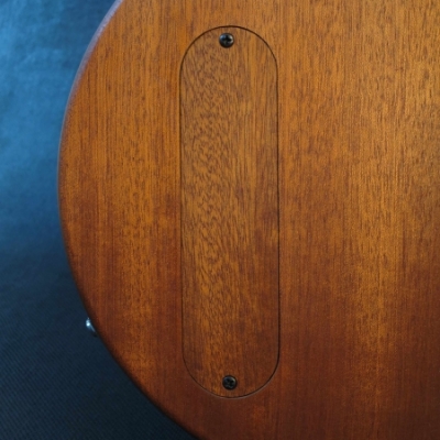 LPJcover